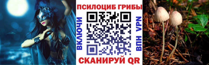 купить  сайты  Тогучин  Галлюциногенные грибы Psilocybine cubensis 