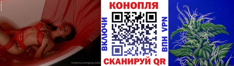 Бошки Шишки план Тогучин